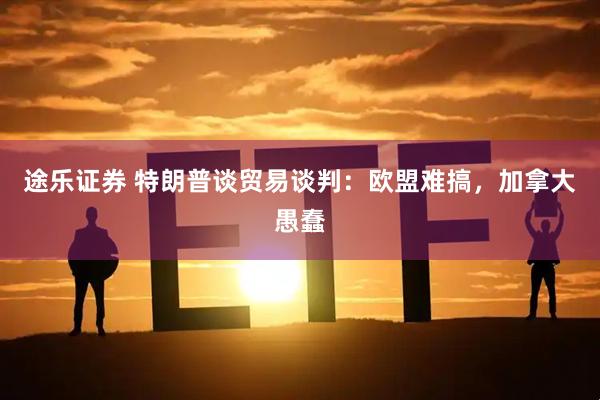 途乐证券 特朗普谈贸易谈判：欧盟难搞，加拿大愚蠢