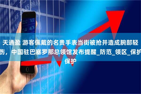 天通盈 游客佩戴的名贵手表当街被抢并造成腕部轻伤，中国驻巴塞罗那总领馆发布提醒_防范_领区_保护