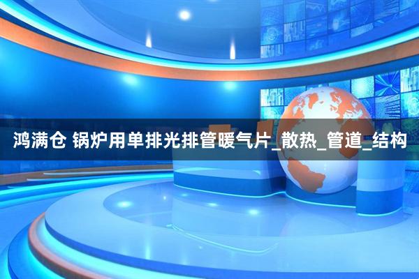 鸿满仓 锅炉用单排光排管暖气片_散热_管道_结构