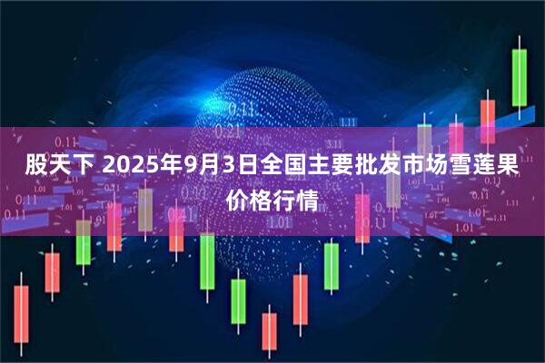 股天下 2025年9月3日全国主要批发市场雪莲果价格行情