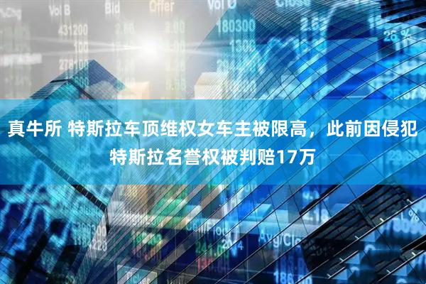真牛所 特斯拉车顶维权女车主被限高，此前因侵犯特斯拉名誉权被判赔17万